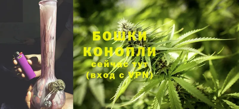 МАРИХУАНА OG Kush  МЕГА маркетплейс  Пошехонье 